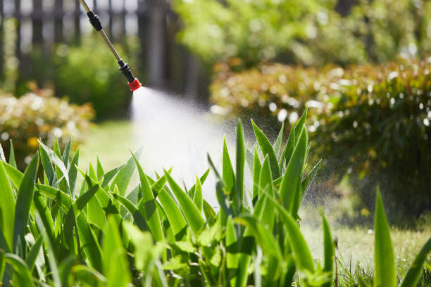 24/7 Emergency Mosquito Control experts in Cherryland, CA